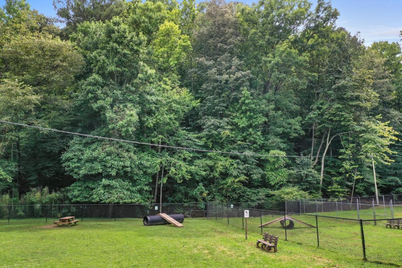2 Separate Cabins Along A Peaceful Creek With Resort Amenities Ellijay Buitenkant foto